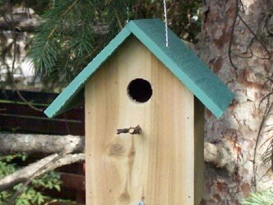 building-bird-houses.jpg